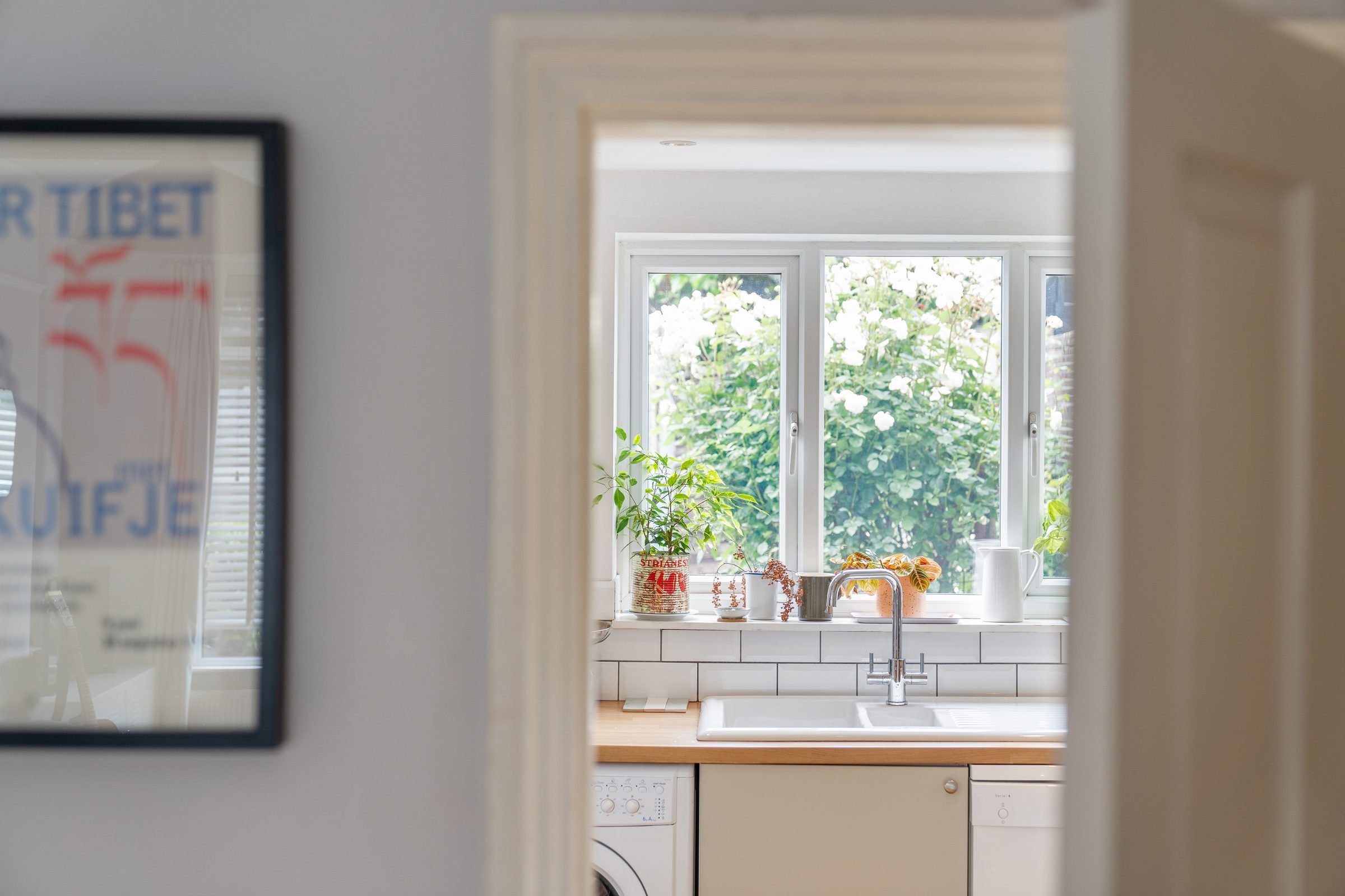 Details & Thresholds — Phoenix photography